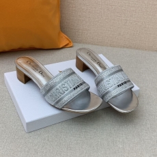 Christian Dior Slippers